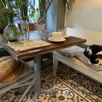   at Vegan Dükkan Lokanta - The Eatery in Istanbul