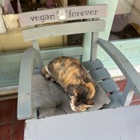   at Vegan Dükkan Lokanta - The Eatery in Istanbul