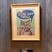   at Vegan Dükkan Lokanta - The Eatery in Istanbul