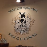  at Vegan Dükkan Lokanta - The Eatery in Istanbul