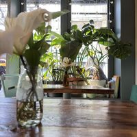   at Vegan Dükkan Lokanta - The Eatery in Istanbul