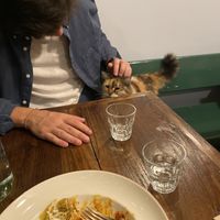   at Vegan Dükkan Lokanta - The Eatery in Istanbul