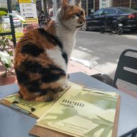  at Vegan Dükkan Lokanta - The Eatery in Istanbul