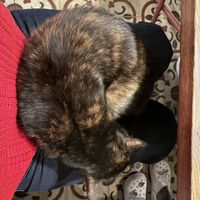   at Vegan Dükkan Lokanta - The Eatery in Istanbul