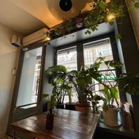 A lot of plants! at Vegan Dükkan Lokanta - The Eatery in Istanbul