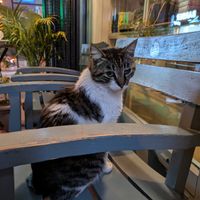  at Vegan Dükkan Lokanta - The Eatery in Istanbul