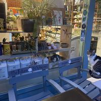   at Vegan Dükkan Lokanta - The Eatery in Istanbul