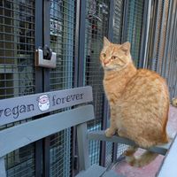  at Vegan Dükkan Lokanta - The Eatery in Istanbul