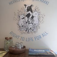   at Vegan Dükkan Lokanta - The Eatery in Istanbul