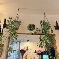   at Vegan Dükkan Lokanta - The Eatery in Istanbul