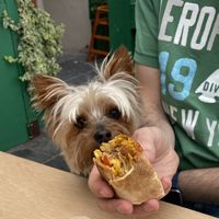 Breakfast burrito   at Catalyst Coffee - Beach  in Bray