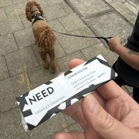   at The Tinker's Granddaughter in Lymington