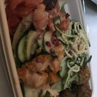   at Natural History Museum in South West London