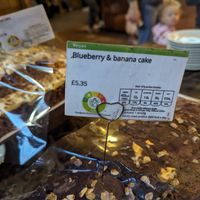  at Natural History Museum in South West London