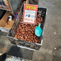 Raw chestnuts 🌰 at Roasted Chestnuts in Melbourne