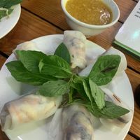 Vietnamese rolls  at Tinh Quan in Hue