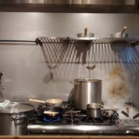 So alive! at NIKKOU in Delft