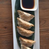 Homemade Gyoza at Konoha in Furth