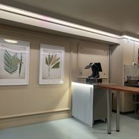 Clean, clear, Danish style    at Vital Foods in Copenhagen