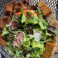 Großer Salatteller mit frittierten Austernpilzen - sehr lecker   at Landhotel Krolik in Daun