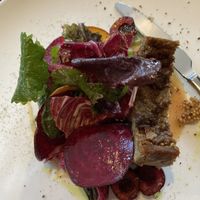   at Hohenheim & Söhne in Frankfurt