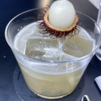   at Hohenheim & Söhne in Frankfurt