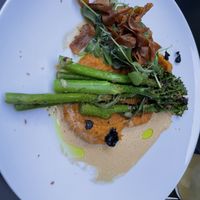   at Hohenheim & Söhne in Frankfurt