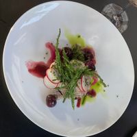  at Hohenheim & Söhne in Frankfurt