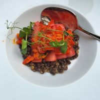  at Hohenheim & Söhne in Frankfurt