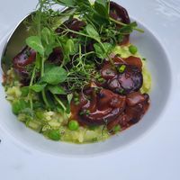  at Hohenheim & Söhne in Frankfurt