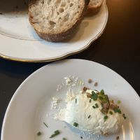   at Hohenheim & Söhne in Frankfurt