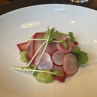   at Hohenheim & Söhne in Frankfurt