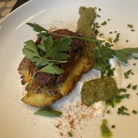   at Hohenheim & Söhne in Frankfurt