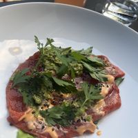   at Hohenheim & Söhne in Frankfurt