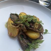   at Hohenheim & Söhne in Frankfurt