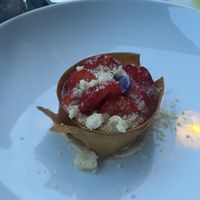   at Hohenheim & Söhne in Frankfurt