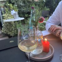   at Hohenheim & Söhne in Frankfurt