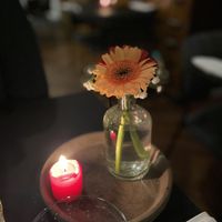   at Hohenheim & Söhne in Frankfurt