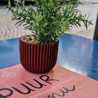  at Van Wijck in Maastricht