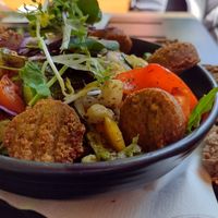 Vegetable garden salad with falafel (moestuin salade met falafel) at Hortus Grand Cafe in Leiden