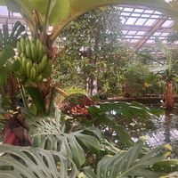   at Hortus Grand Cafe in Leiden