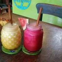 Nice juices at Akar Cafe in Lovina