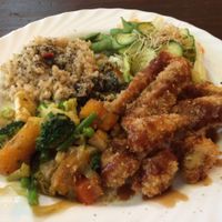 Vegan Platter  at TerraZen Centre in Amsterdam