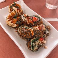   at TerraZen Centre in Amsterdam