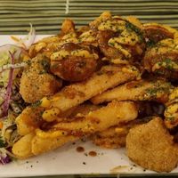 . at TerraZen Centre in Amsterdam