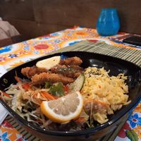  at TerraZen Centre in Amsterdam