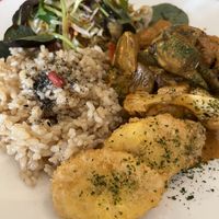   at TerraZen Centre in Amsterdam