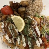   at TerraZen Centre in Amsterdam