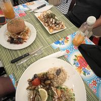   at TerraZen Centre in Amsterdam