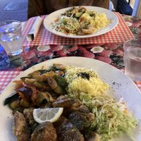   at TerraZen Centre in Amsterdam